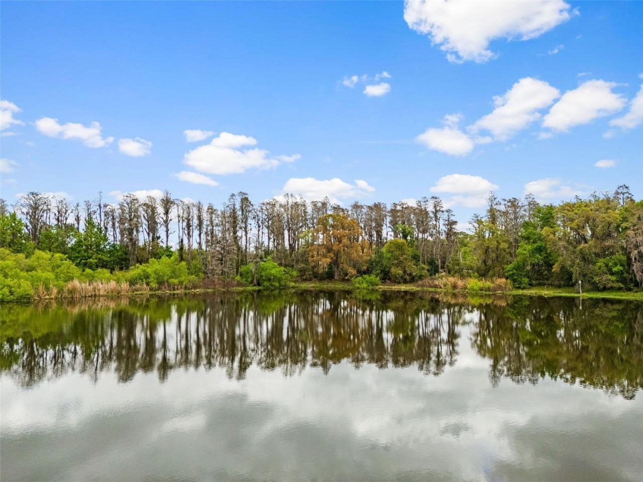 18150 Burrell Road, Odessa, FL 33556 Photo