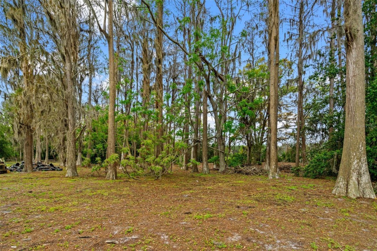 18150 Burrell Road, Odessa, FL 33556 Photo