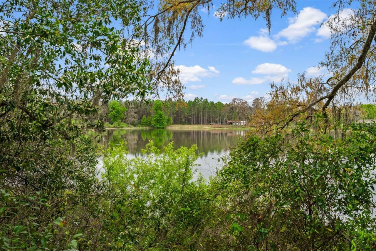 18150 Burrell Road, Odessa, FL 33556 Photo