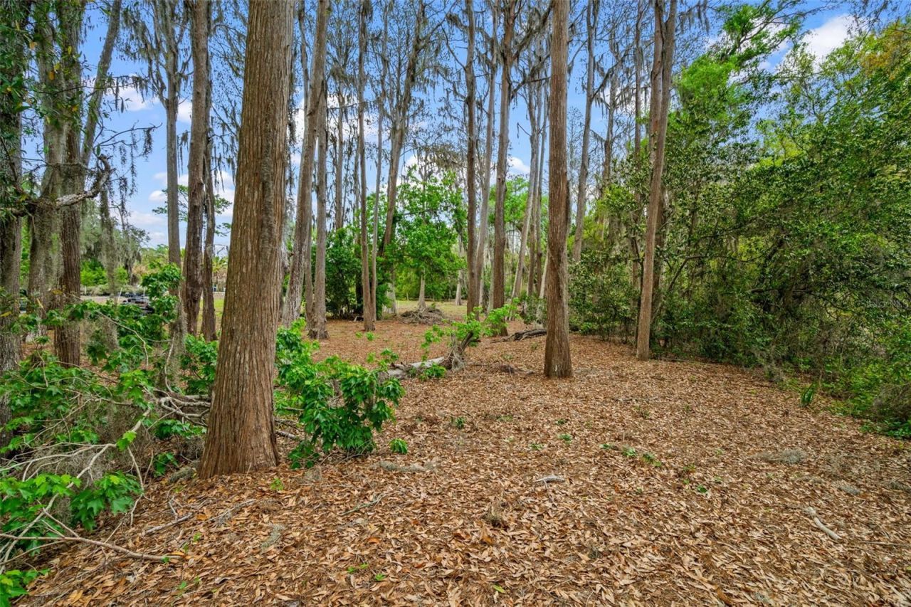 18150 Burrell Road, Odessa, FL 33556 Photo