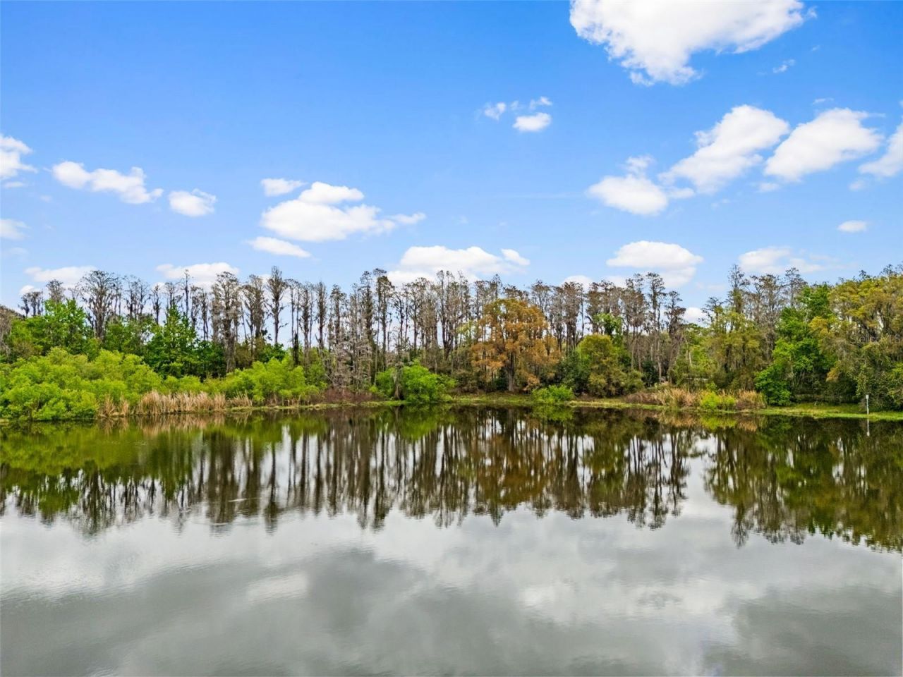 18150 Burrell Road, Odessa, FL 33556 Photo