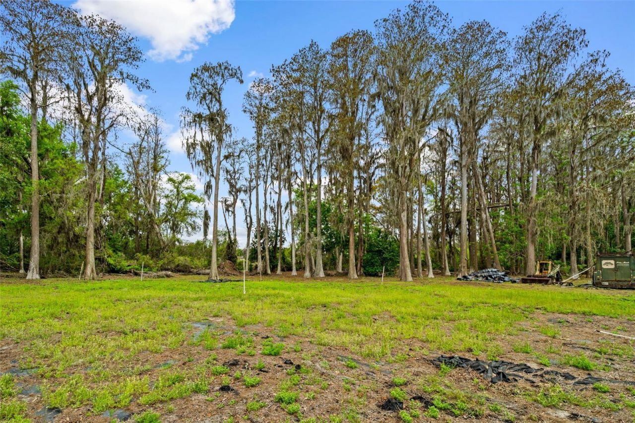 18150 Burrell Road, Odessa, FL 33556 Photo