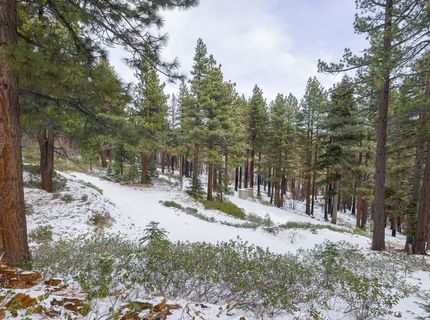 20102 Hibbet Trail, Reno, NV 89511 Photo