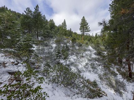 20102 Hibbet Trail, Reno, NV 89511 Photo