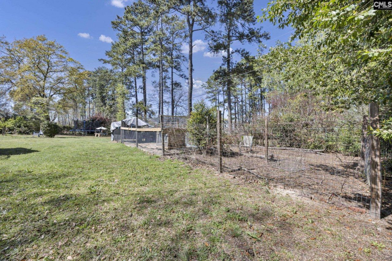 1531 Alma Road Photo 42