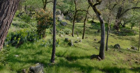 14580 Mcelroy Rd, Auburn, CA 95602 Photo