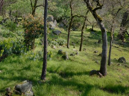 14580 Mcelroy Rd, Auburn, CA 95602 Photo