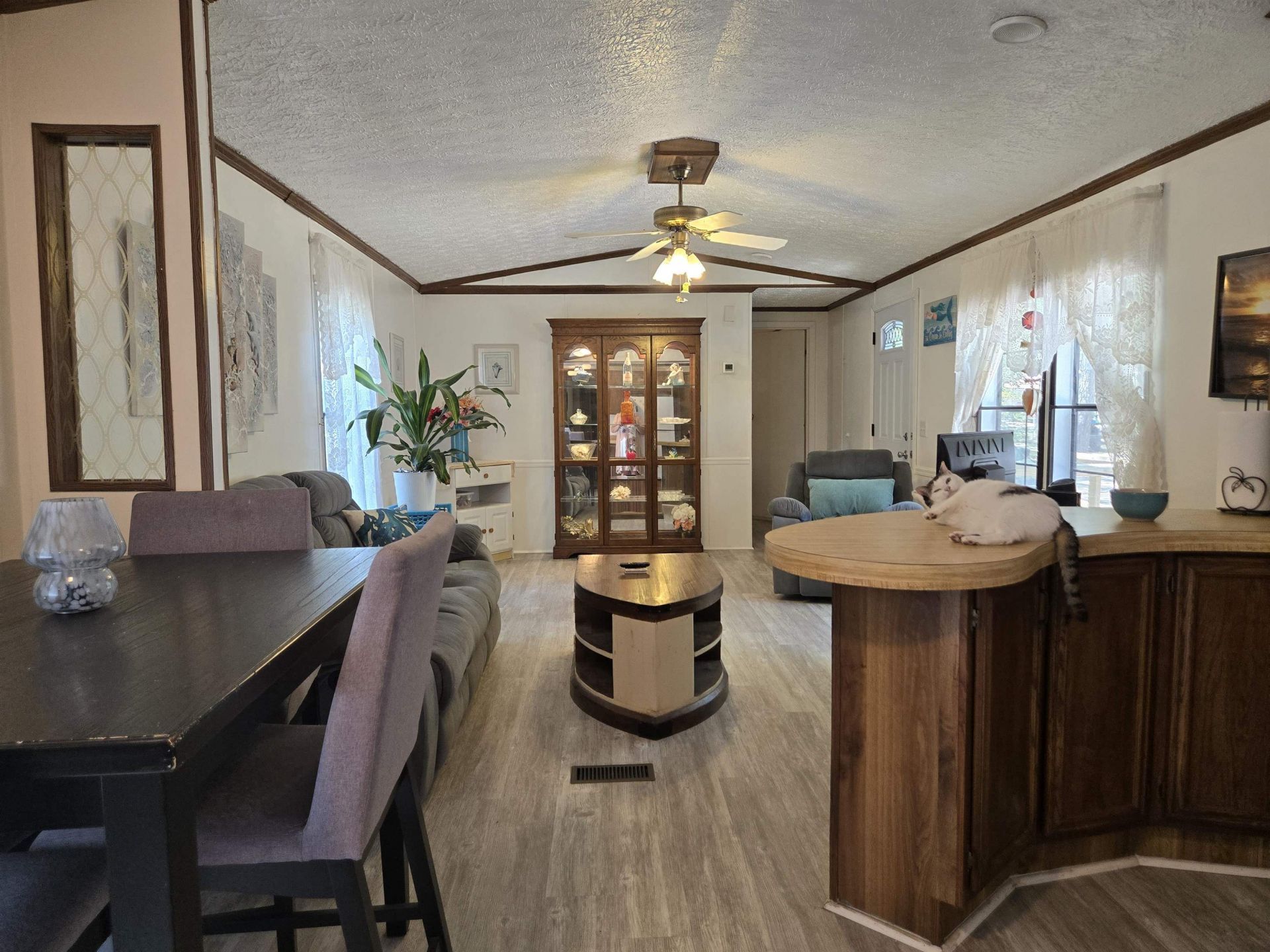582 Mimosa Dr. Photo 10