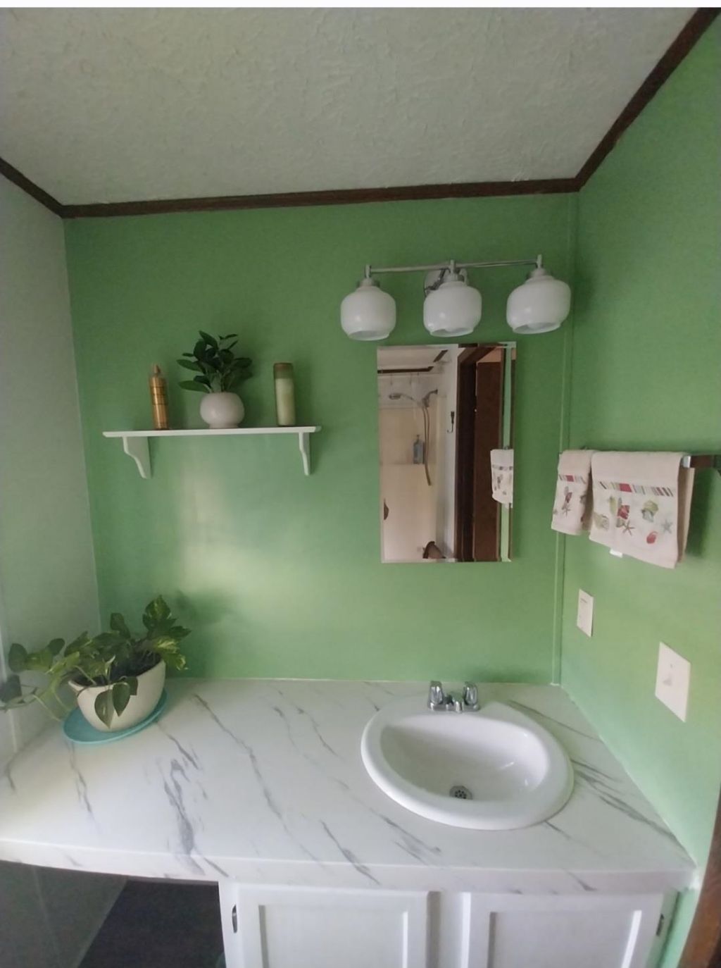 582 Mimosa Dr. Photo 26