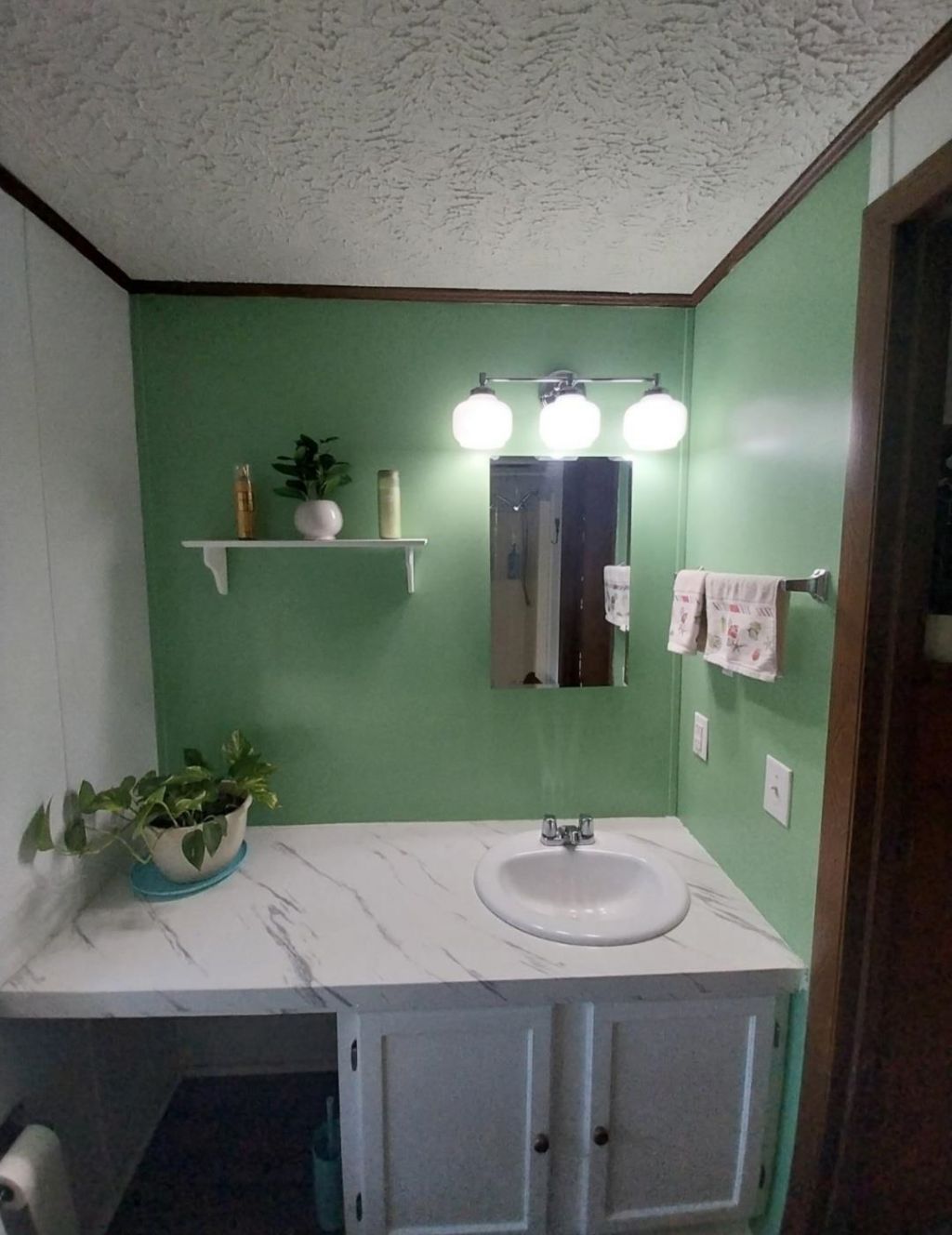 582 Mimosa Dr. Photo 27