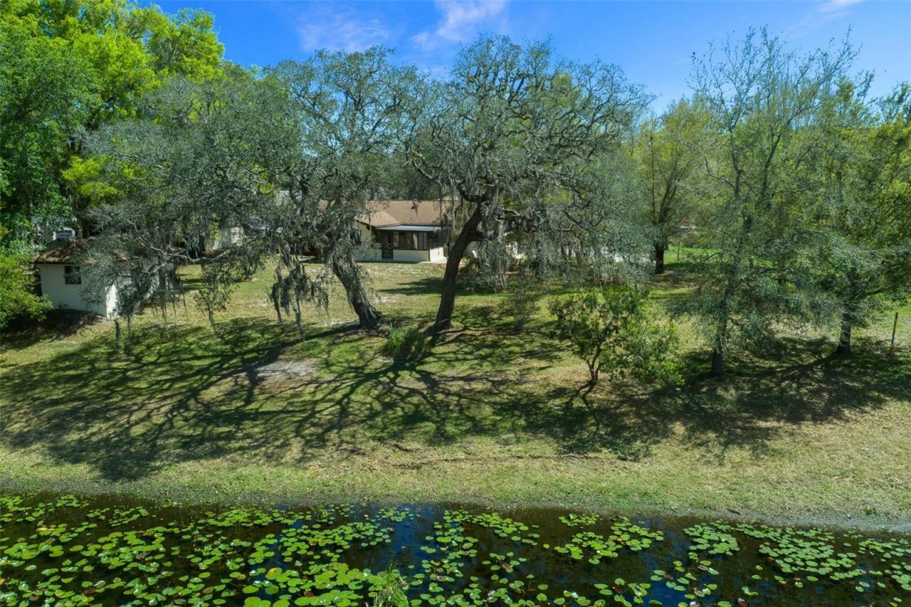 9923 E Saint Regis Court , Inverness, FL 34450 Photo