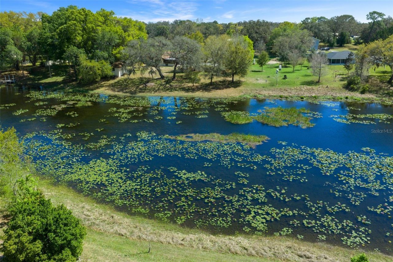 9923 E Saint Regis Court , Inverness, FL 34450 Photo