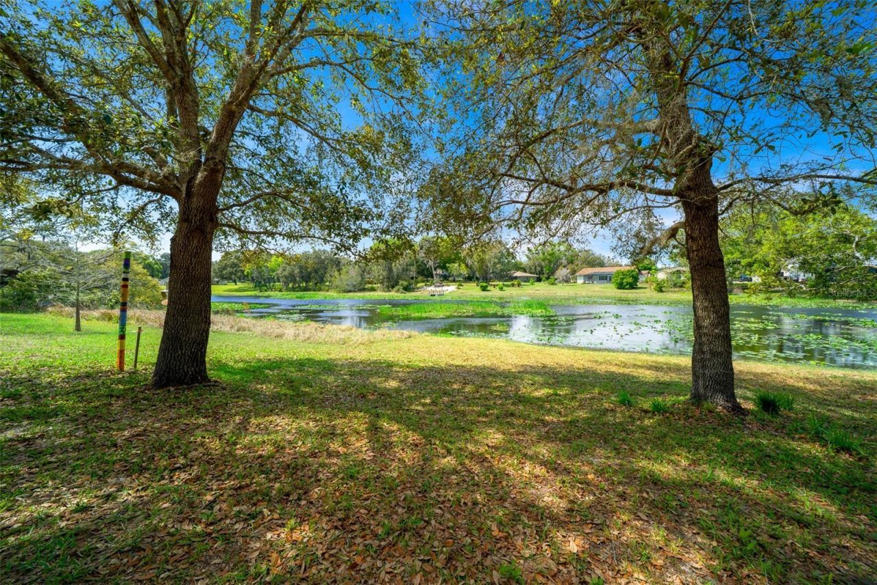 9923 E Saint Regis Court , Inverness, FL 34450 Photo