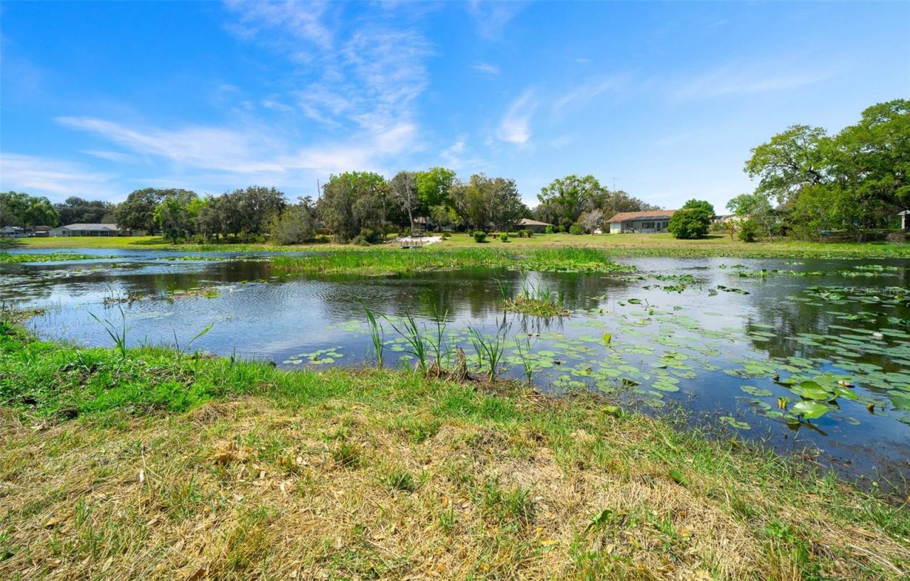 9923 E Saint Regis Court , Inverness, FL 34450 Photo