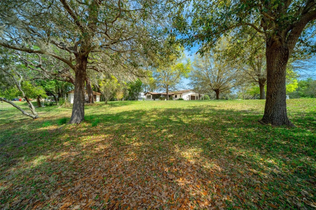 9923 E Saint Regis Court , Inverness, FL 34450 Photo