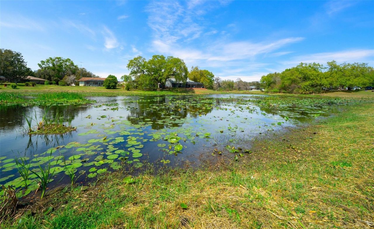 9923 E Saint Regis Court , Inverness, FL 34450 Photo