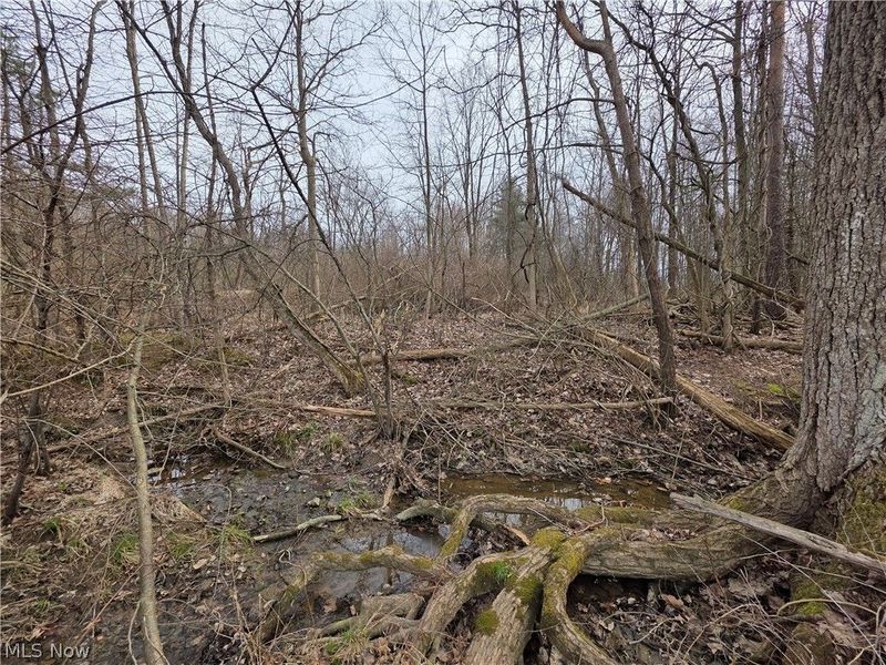 8566 Chatham Road , Medina, OH 44256 Photo 39