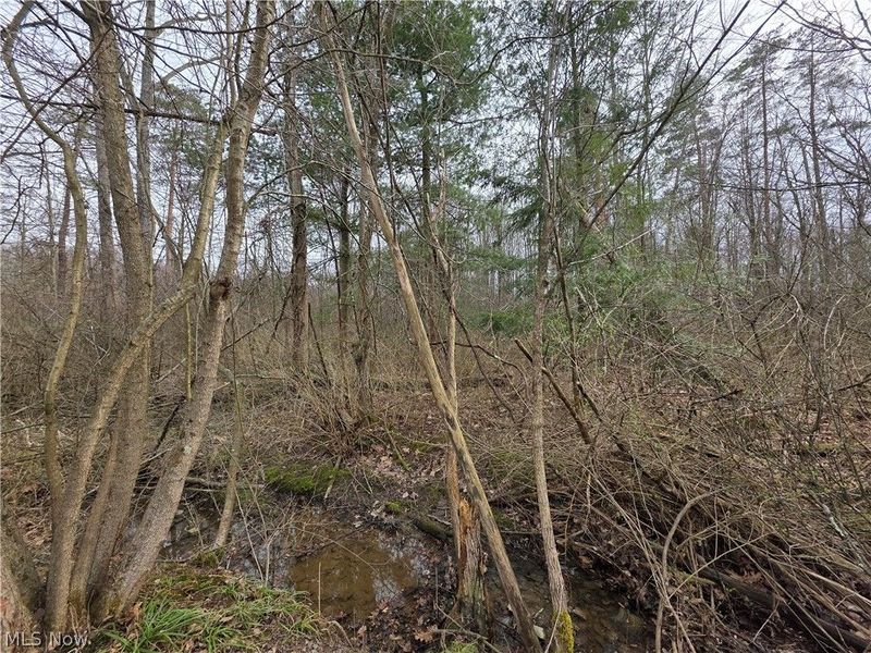 8566 Chatham Road , Medina, OH 44256 Photo 40