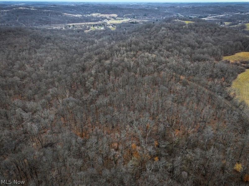 0 Tract 14 CR 7 Rear, Caldwell, OH 43724 Photo 12