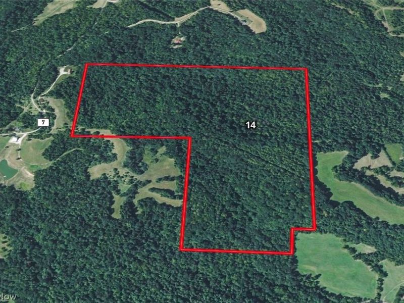 0 Tract 14 CR 7 Rear, Caldwell, OH 43724 Photo 14