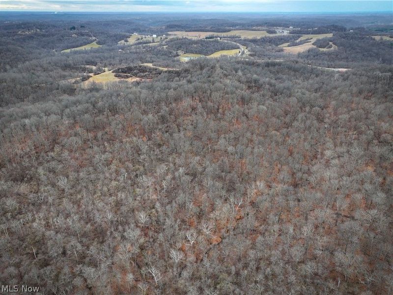 0 Tract 14 CR 7 Rear, Caldwell, OH 43724 Photo 4