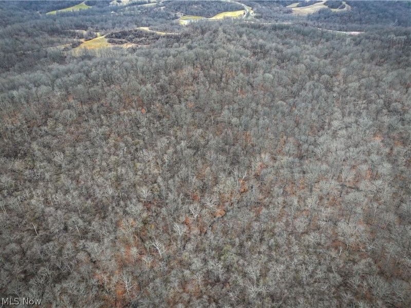 0 Tract 14 CR 7 Rear, Caldwell, OH 43724 Photo 5