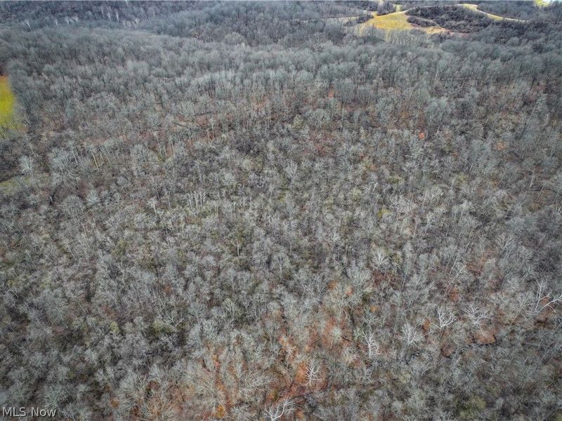 0 Tract 14 CR 7 Rear, Caldwell, OH 43724 Photo 6