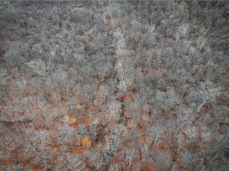 0 Tract 14 CR 7 Rear, Caldwell, OH 43724 Photo 9