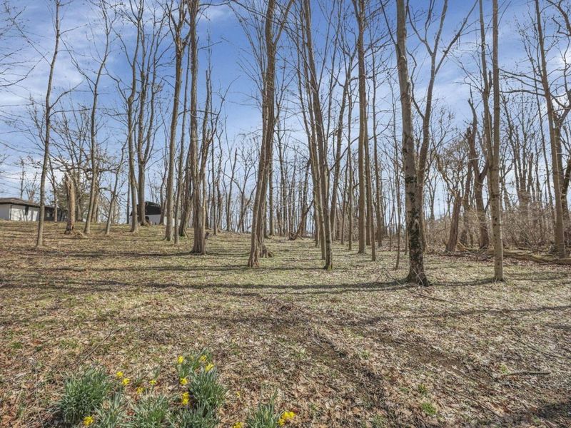 5289 Hazelton-Etna Road SW, Pataskala, OH 43062 Photo 56