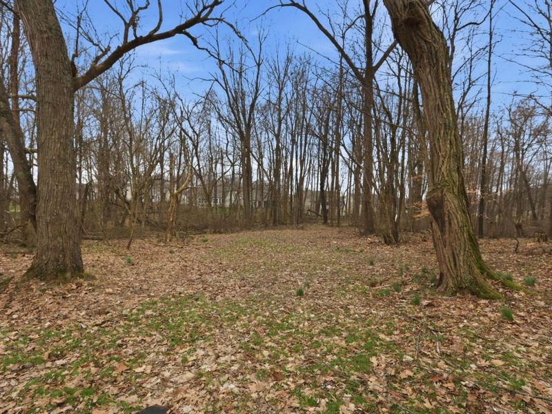 5289 Hazelton-Etna Road SW, Pataskala, OH 43062 Photo 65