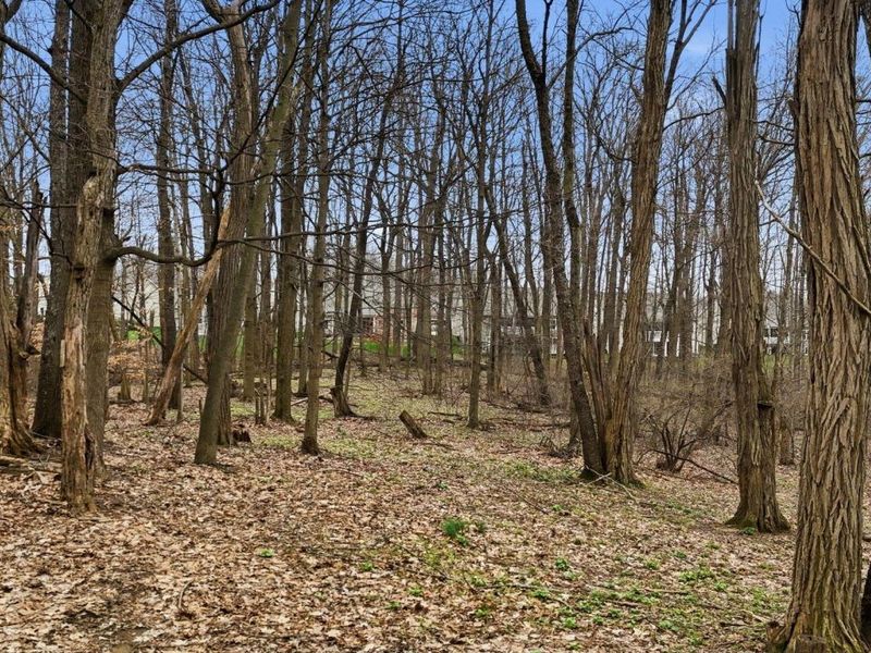 5289 Hazelton-Etna Road SW, Pataskala, OH 43062 Photo 66