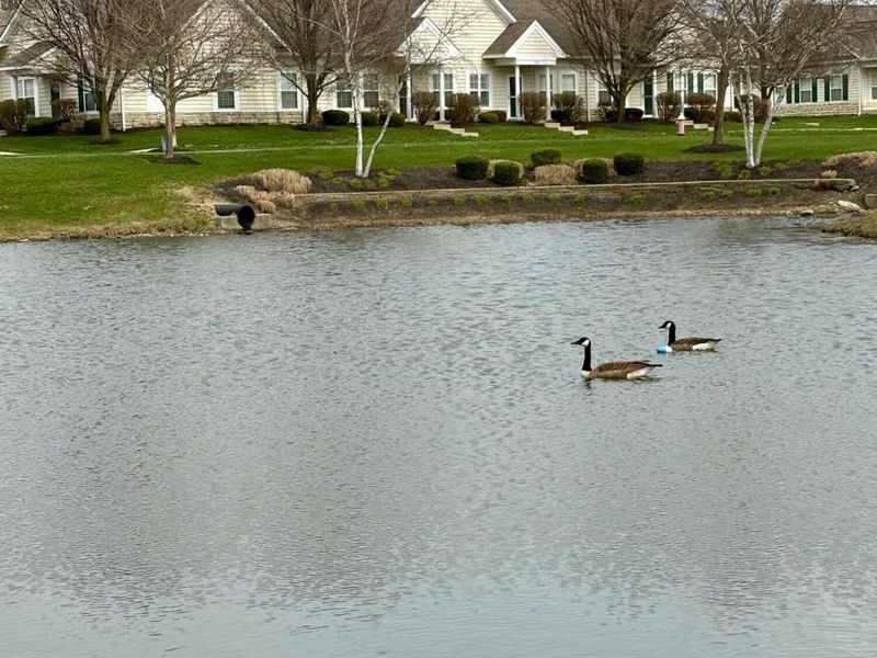 7276 Colonial Affair Drive, Unit 11, New Albany, OH 43054 Photo 37