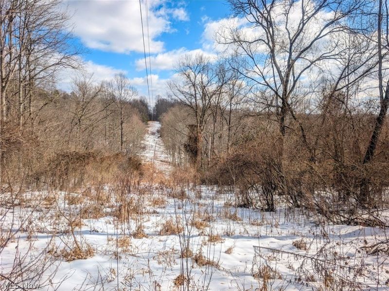 0 Tract 13 Ayers Ridge, Lower Salem, OH 43788 Photo 1