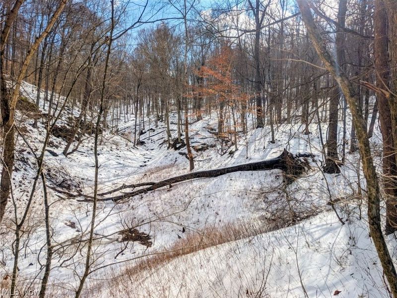 0 Tract 13 Ayers Ridge, Lower Salem, OH 43788 Photo 10