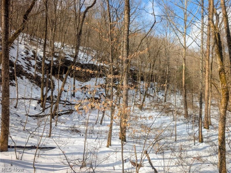 0 Tract 13 Ayers Ridge, Lower Salem, OH 43788 Photo 11