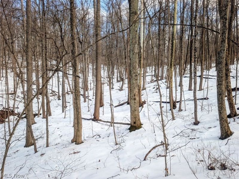 0 Tract 13 Ayers Ridge, Lower Salem, OH 43788 Photo 12