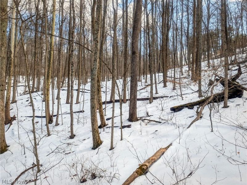 0 Tract 13 Ayers Ridge, Lower Salem, OH 43788 Photo 13