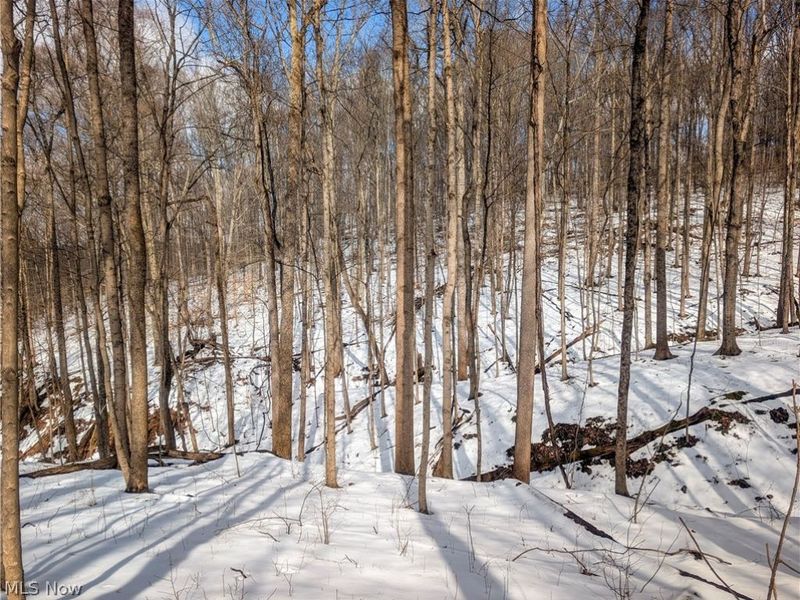 0 Tract 13 Ayers Ridge, Lower Salem, OH 43788 Photo 14