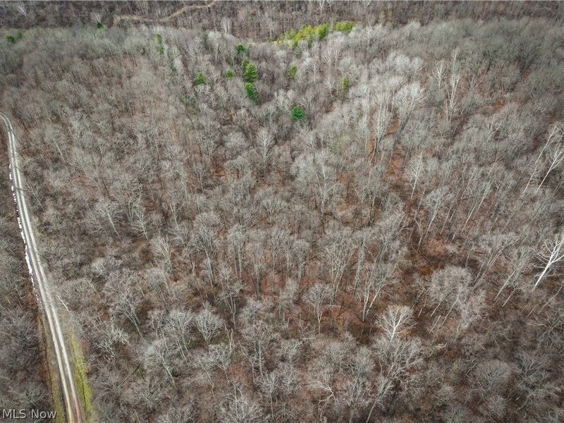 0 Tract 13 Ayers Ridge, Lower Salem, OH 43788 Photo 17