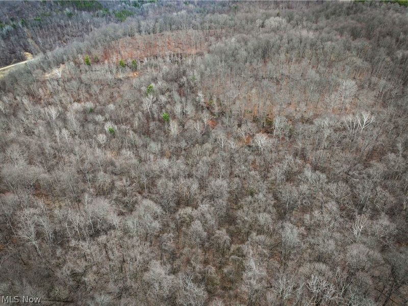 0 Tract 13 Ayers Ridge, Lower Salem, OH 43788 Photo 18