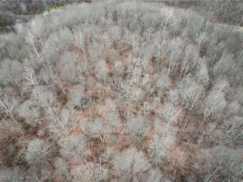 0 Tract 13 Ayers Ridge, Lower Salem, OH 43788 Photo 19