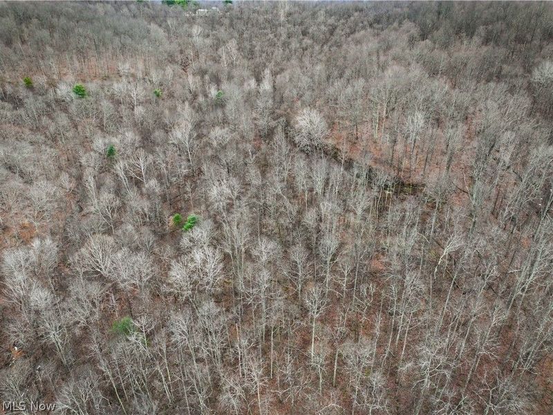 0 Tract 13 Ayers Ridge, Lower Salem, OH 43788 Photo 20