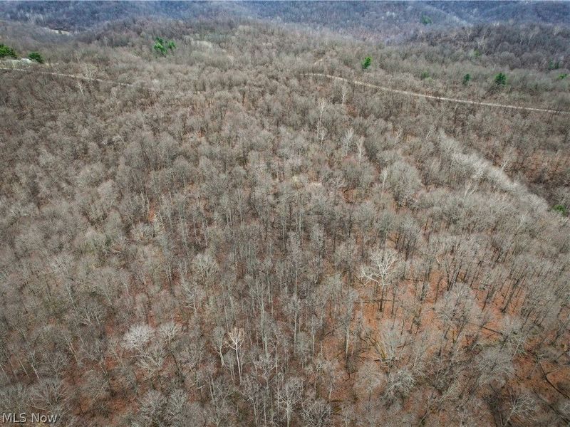 0 Tract 13 Ayers Ridge, Lower Salem, OH 43788 Photo 21