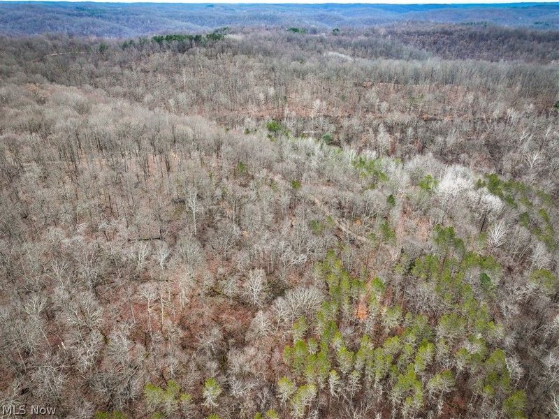 0 Tract 13 Ayers Ridge, Lower Salem, OH 43788 Photo 24