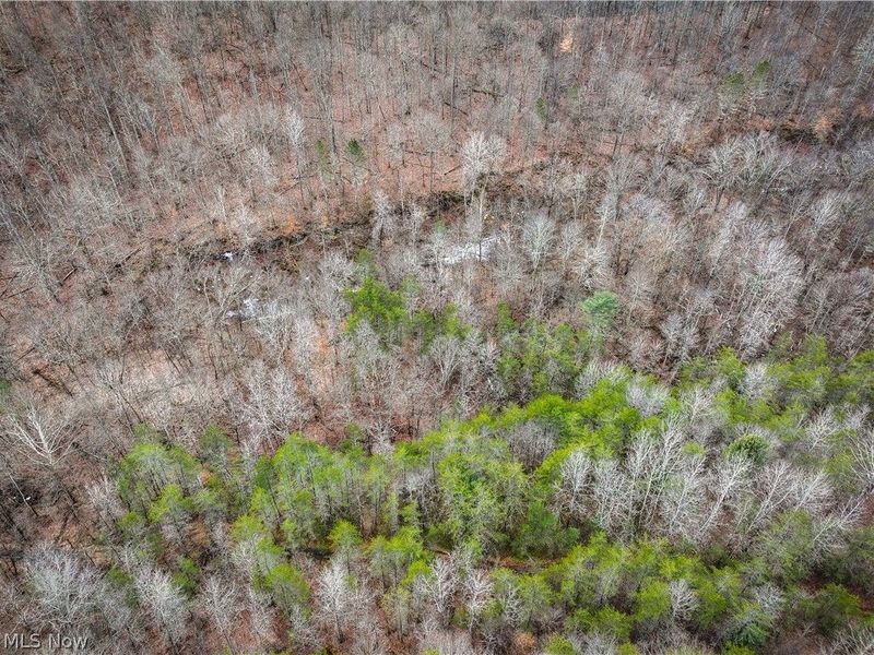 0 Tract 13 Ayers Ridge, Lower Salem, OH 43788 Photo 25