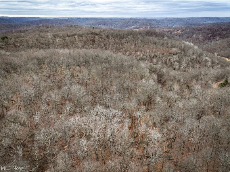 0 Tract 13 Ayers Ridge, Lower Salem, OH 43788 Photo 27