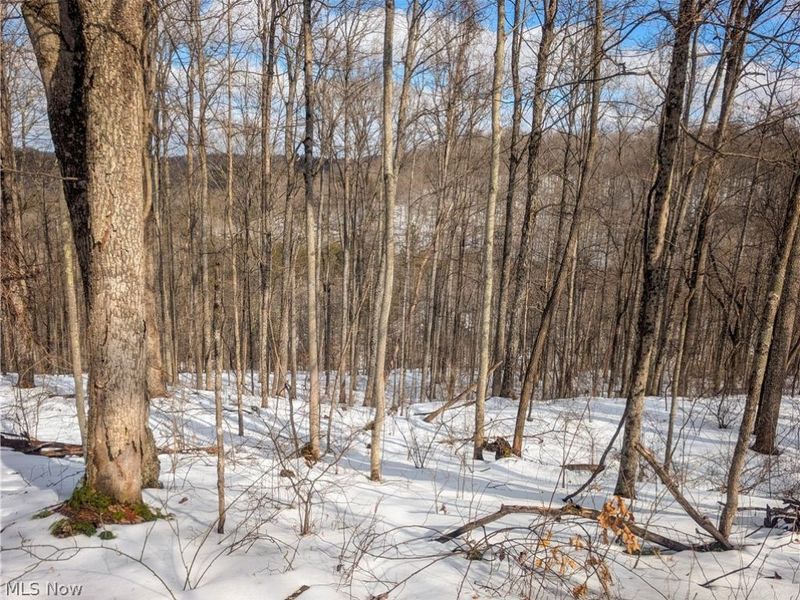 0 Tract 13 Ayers Ridge, Lower Salem, OH 43788 Photo 5