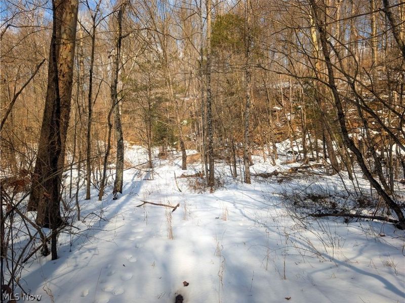 0 Tract 13 Ayers Ridge, Lower Salem, OH 43788 Photo 7