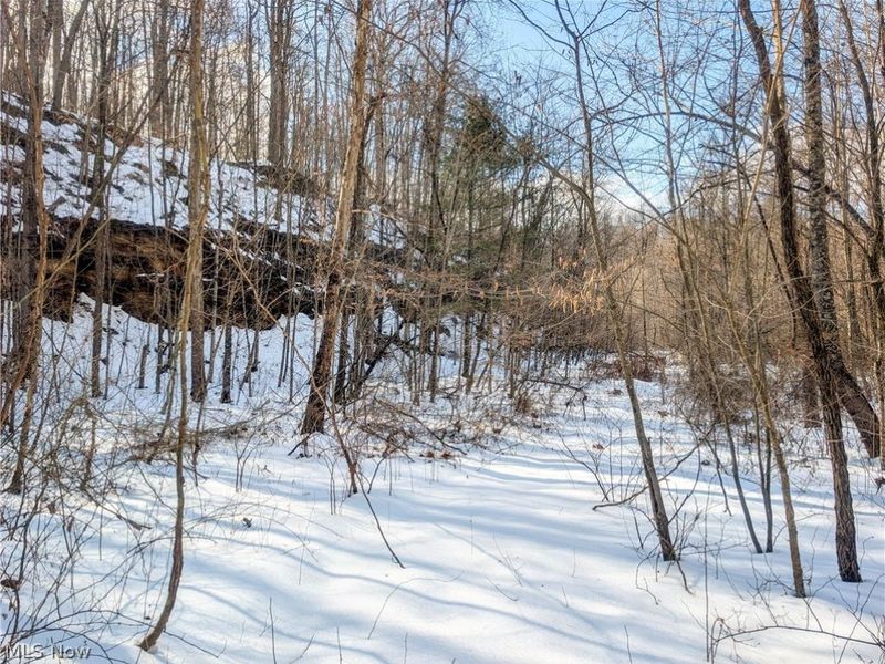 0 Tract 13 Ayers Ridge, Lower Salem, OH 43788 Photo 8