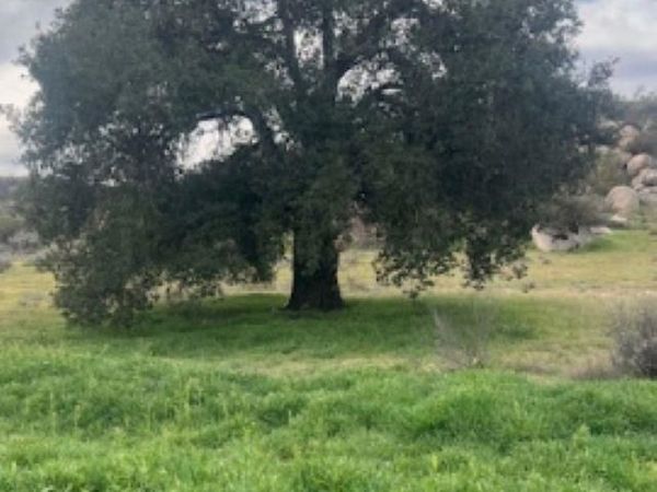 1400 Starship Lane, Jacumba, CA 91934